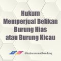 Hukum Memperjual Belikan Burung Hias